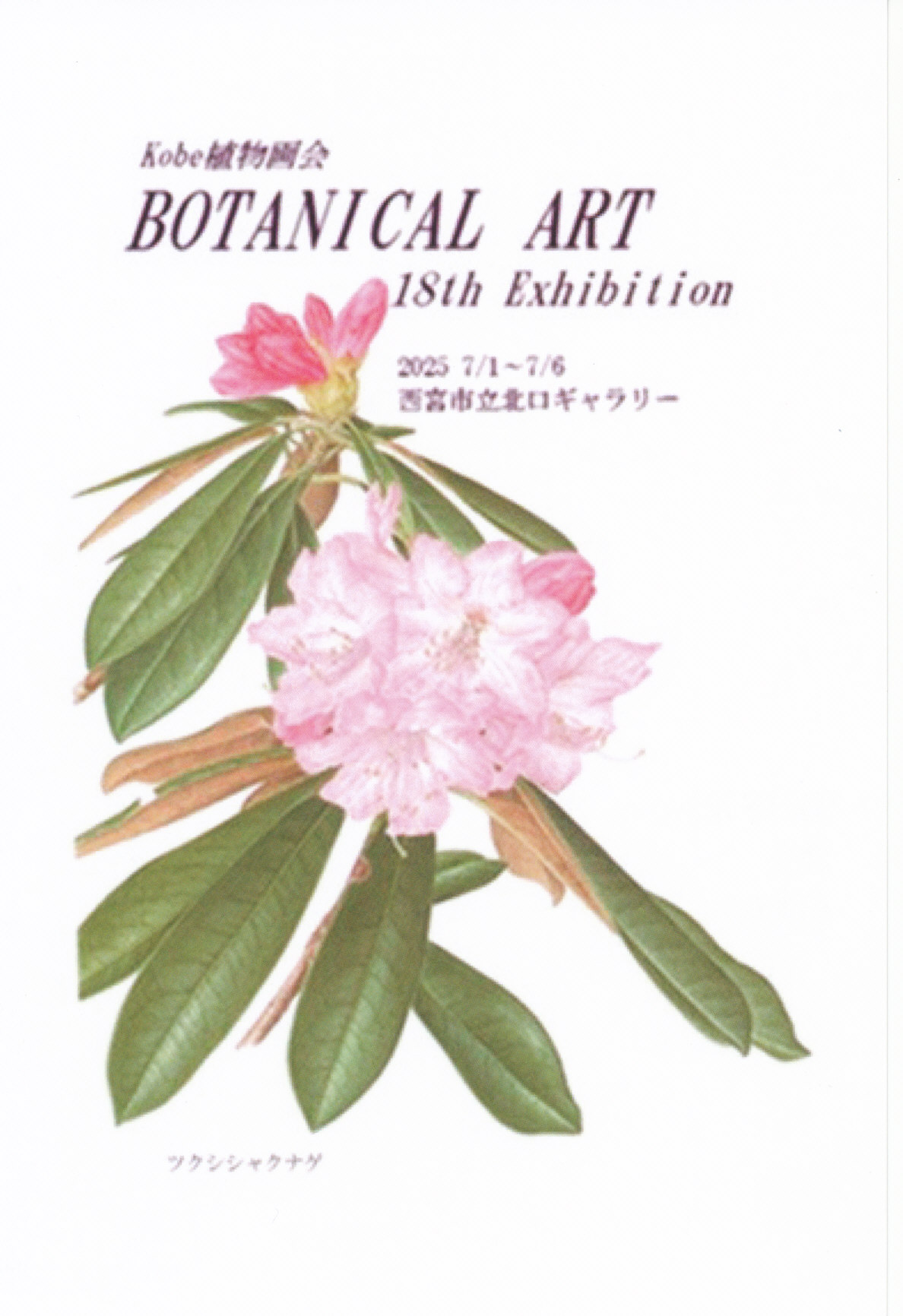 Kobe展